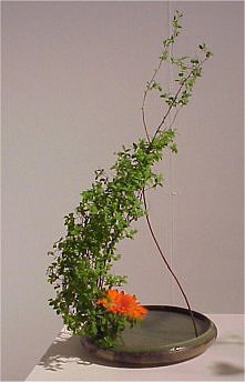 ikebana
