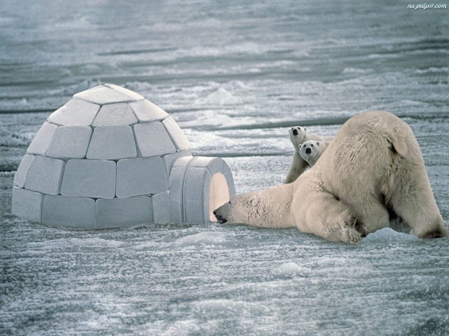 igloo