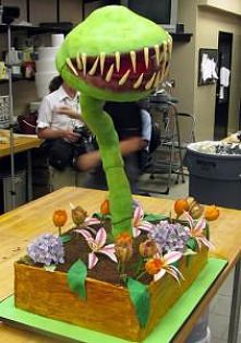 takiej roślinki bym nie kupiła;)