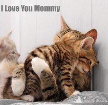 I Love You Mommy