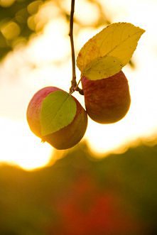 jesień tuż, tuż...