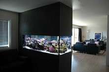 aquarium