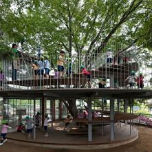 Przedszkole w Tokio – drzewo w centrum