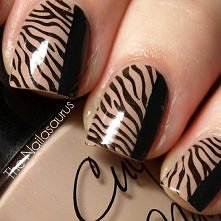 zebra nails