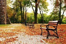 jesienne ławki