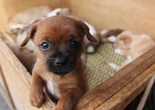 słodziaczek ♥.♥