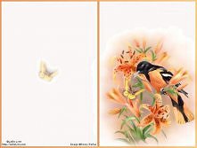 Drukujesz, wypisujesz i got...