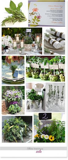 motyw ziołowy na przyjęcie ...