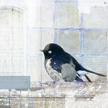 Wróbel na dachu SCHABBY CHI...