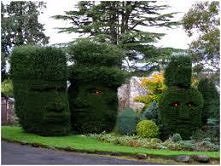 Uwaga! Krzaki patrzą :P