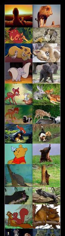 Wiedziałam że istnieją;D.