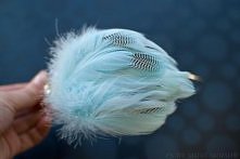 opaska lightbluefeathers