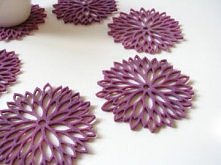 filcowe astry fioletowe