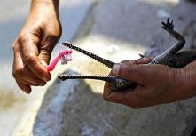 O zęby trzeba dbać :P