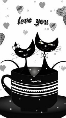black cats