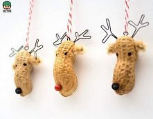 Łosie z łupinek po orzeszkach