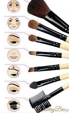 Który jest do czego...