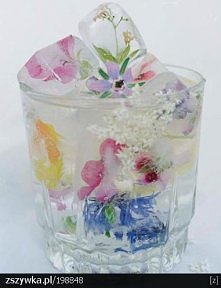 kostki lodu z kwiatami