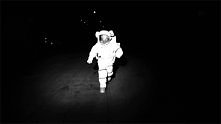run bitch, run