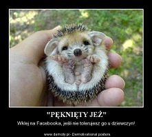 :))