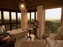 safari