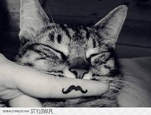 świetnie wygląda, ten paan....