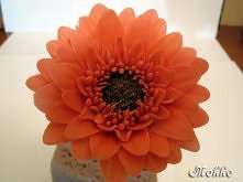 Z modeliny.Daję słowo :)