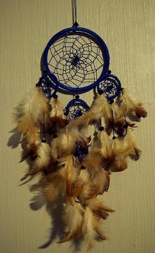 niebieski łapacz, brązowe p...