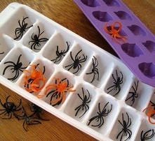 Pajączki w kostkach lodu