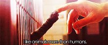 i like animals more