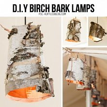 birch bark lamps