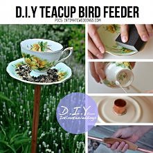 bird feeder