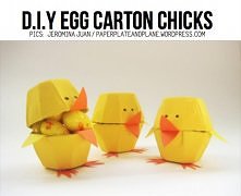 egg carton chicks