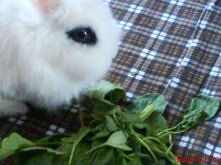 Nasz Kochany słodziak