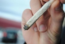 smoke cheeba cheeba, smoke cheeba cheeba cheeba