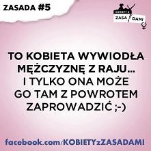 zasada 5
