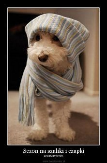 sezon na szaliki i czapki uważam za otwarty!
