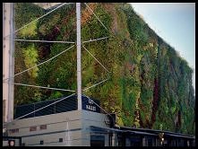 Znacie zielone ściany?