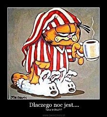 dlaczego noc jest taka krótka