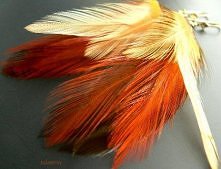 autumn 2 (proj. talestrin)