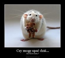 mogę spać dziś z Tobą