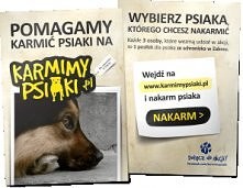 Pomóżmy naszym przyjaciołom...