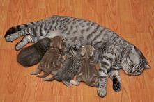 mniami,śniadanko podano :-)