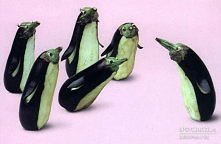 bakłażanowe pingwiny