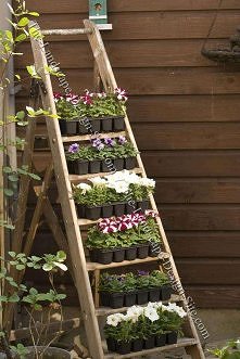 Kwietnik z drabiny