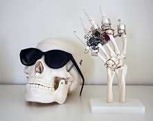 jak wiecie gdzie można kupi...