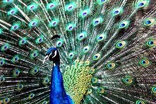 Musiałam to uchwycić, tak m...