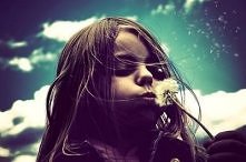 Dmuchawce, latawce, wiatr...