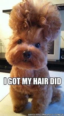 Zrobiłam się na bóstwo :D