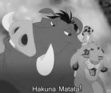 Hakunamatata ^^